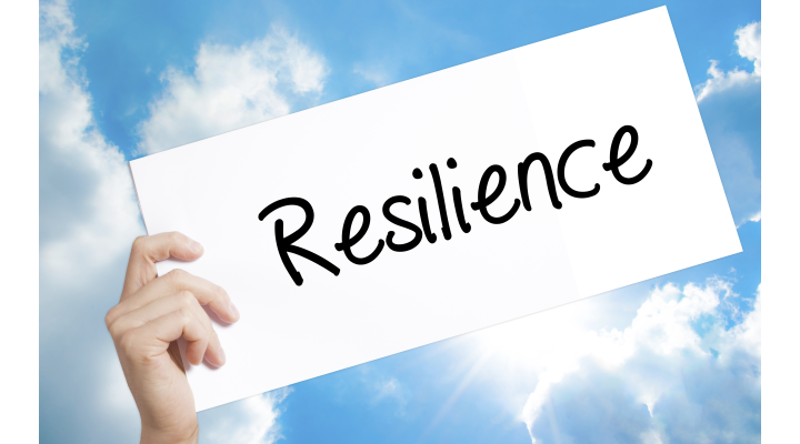 Risk resilience report released